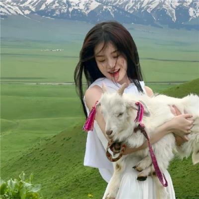 猫儿协奏曲 在线观看