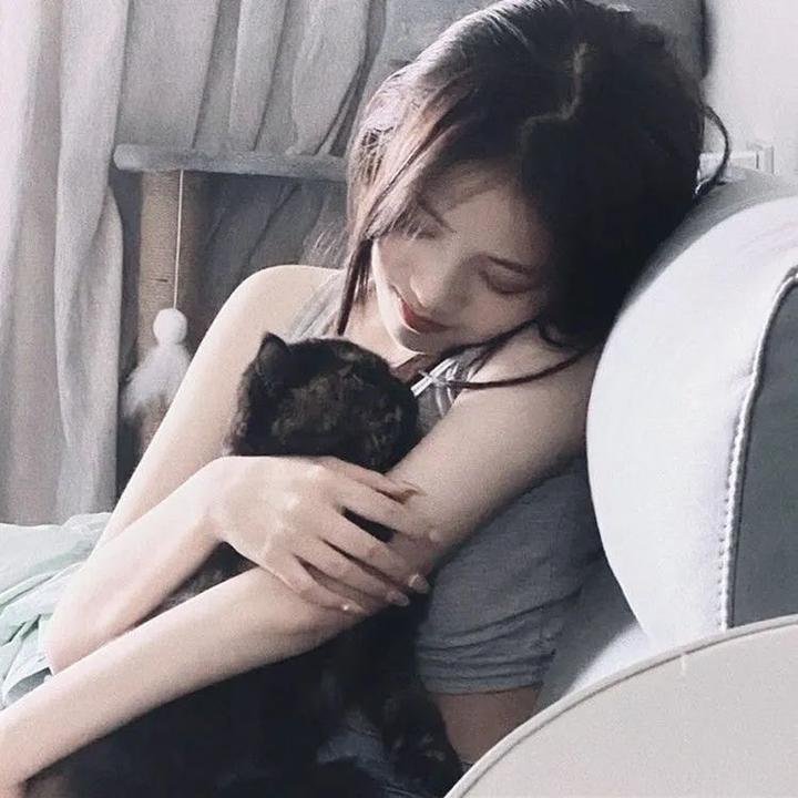 绿发仙子与森林之歌 在线观看